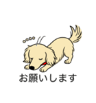 名前入りダックスロングクリーム（個別スタンプ：7）