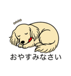 名前入りダックスロングクリーム（個別スタンプ：9）
