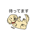 名前入りダックスロングクリーム（個別スタンプ：10）