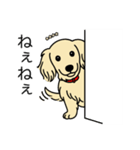 名前入りダックスロングクリーム（個別スタンプ：12）