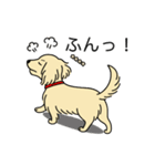 名前入りダックスロングクリーム（個別スタンプ：14）