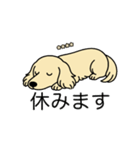 名前入りダックスロングクリーム（個別スタンプ：16）