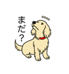 名前入りダックスロングクリーム（個別スタンプ：20）