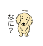 名前入りダックスロングクリーム（個別スタンプ：22）