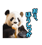 山梨弁☆パンダ（個別スタンプ：20）