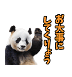 山梨弁☆パンダ（個別スタンプ：35）