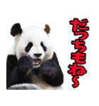山梨弁☆パンダ（個別スタンプ：36）