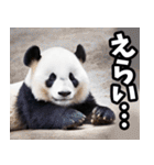 山梨弁☆パンダ（個別スタンプ：39）