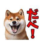 北海道弁☆柴犬（個別スタンプ：1）