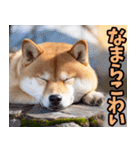 北海道弁☆柴犬（個別スタンプ：15）