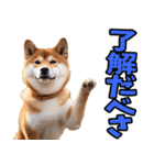 北海道弁☆柴犬（個別スタンプ：16）