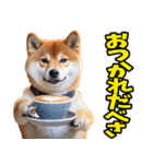 北海道弁☆柴犬（個別スタンプ：17）
