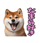 北海道弁☆柴犬（個別スタンプ：22）
