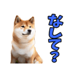 北海道弁☆柴犬（個別スタンプ：26）