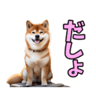 北海道弁☆柴犬（個別スタンプ：28）