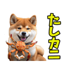 北海道弁☆柴犬（個別スタンプ：34）