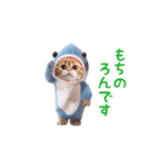 踊る！ダンス サメ猫（死語）（個別スタンプ：4）