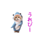 踊る！ダンス サメ猫（死語）（個別スタンプ：7）