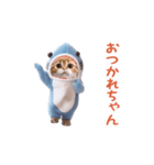 踊る！ダンス サメ猫（死語）（個別スタンプ：8）