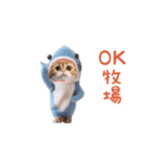 踊る！ダンス サメ猫（死語）（個別スタンプ：9）