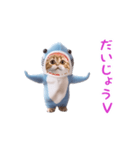 踊る！ダンス サメ猫（死語）（個別スタンプ：14）