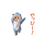 踊る！ダンス サメ猫（死語）（個別スタンプ：16）