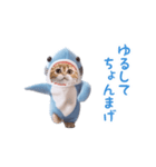踊る！ダンス サメ猫（死語）（個別スタンプ：18）