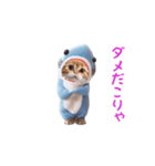 踊る！ダンス サメ猫（死語）（個別スタンプ：19）