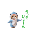 踊る！ダンス サメ猫（死語）（個別スタンプ：20）
