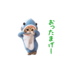 踊る！ダンス サメ猫（死語）（個別スタンプ：21）