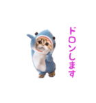 踊る！ダンス サメ猫（死語）（個別スタンプ：22）