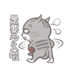 ストリートキャット拳会 ― ニャンパー拳（個別スタンプ：6）