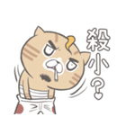 ストリートキャット拳会 ― ニャンパー拳（個別スタンプ：19）