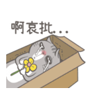 ストリートキャット拳会 ― ニャンパー拳（個別スタンプ：28）
