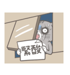 ストリートキャット拳会 ― ニャンパー拳（個別スタンプ：29）
