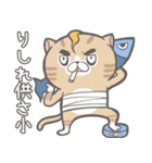 ストリートキャット拳会 ― ニャンパー拳（個別スタンプ：31）
