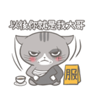 ストリートキャット拳会 ― ニャンパー拳（個別スタンプ：39）