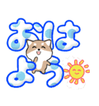 飛び出すデカ文字 豆しば【日常編】（個別スタンプ：1）