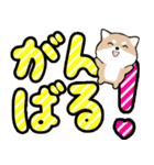 飛び出すデカ文字 豆しば【日常編】（個別スタンプ：8）