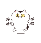台湾版【動く！】ねこちゃんだもの7（個別スタンプ：7）
