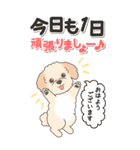 やさしいマルプー『仕事＆連絡』（個別スタンプ：3）