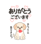 やさしいマルプー『仕事＆連絡』（個別スタンプ：5）