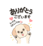 やさしいマルプー『仕事＆連絡』（個別スタンプ：6）