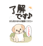やさしいマルプー『仕事＆連絡』（個別スタンプ：10）