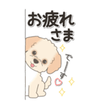 やさしいマルプー『仕事＆連絡』（個別スタンプ：19）