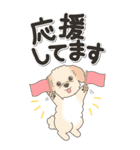 やさしいマルプー『仕事＆連絡』（個別スタンプ：31）