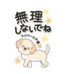 やさしいマルプー『仕事＆連絡』（個別スタンプ：32）
