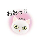 色々な猫3-1 短毛-立ち耳-白（個別スタンプ：10）