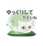 色々な猫3-1 短毛-立ち耳-白（個別スタンプ：12）