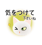 色々な猫3-1 短毛-立ち耳-白（個別スタンプ：14）